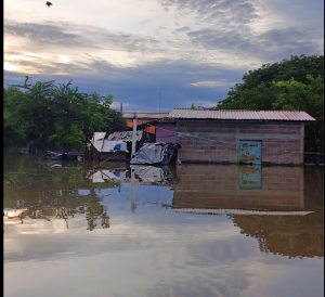 Captura de pantalla 2025-06-17 a la(s) 5.00.27 p. m.